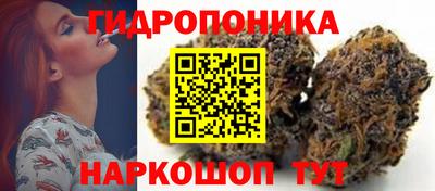 гидропоника Кунгур