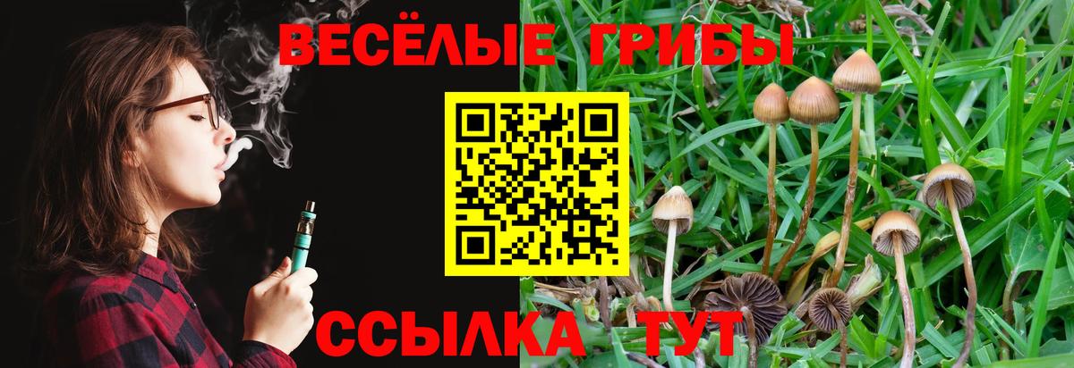 Галлюциногенные грибы GOLDEN TEACHER Учалы