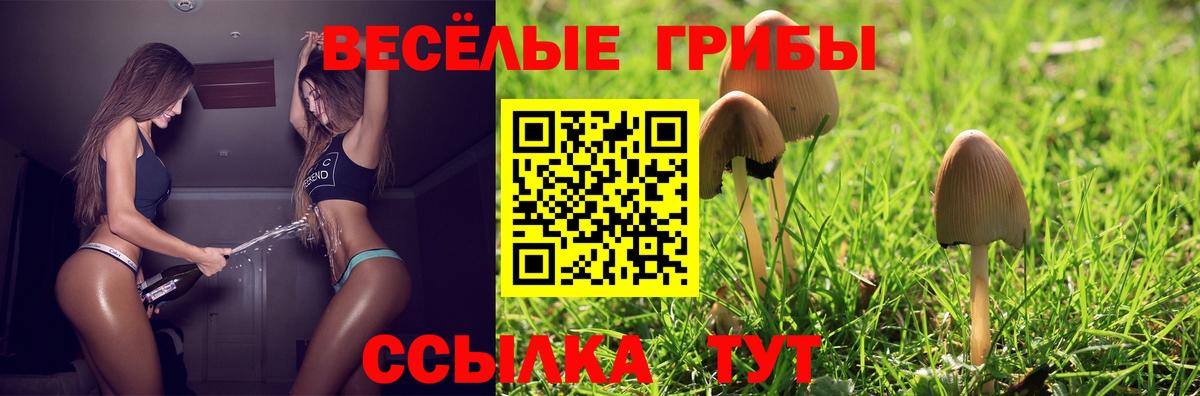 Псилоцибиновые грибы Psilocybine cubensis  Вход с VPN  Учалы 